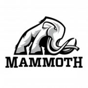 Thieler Law Corp Announces Investigation of Mammoth Energy Services Inc